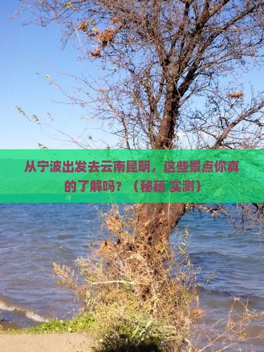 宁波去云南昆明景点