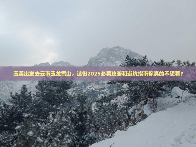 玉溪到云南玉龙雪山旅游
