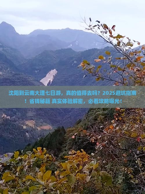 沈阳到云南大理七日游