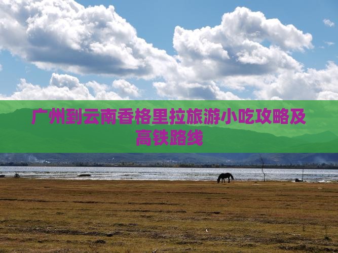 广州到云南香格里拉旅游小吃