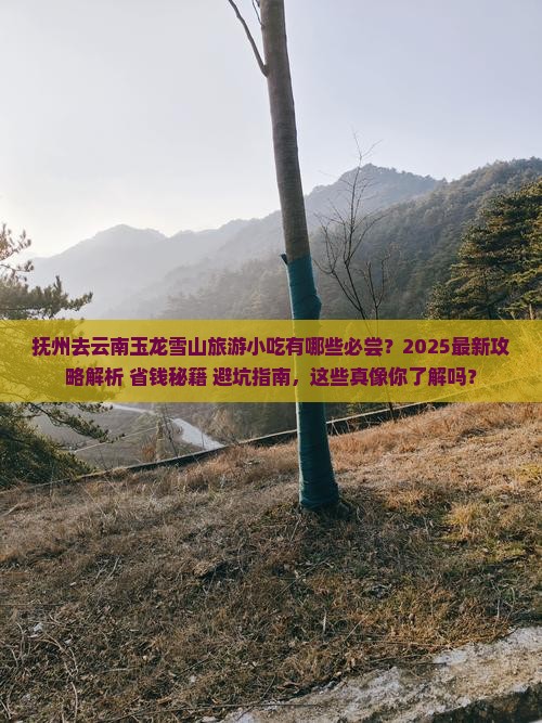 抚州去云南玉龙雪山旅游小吃