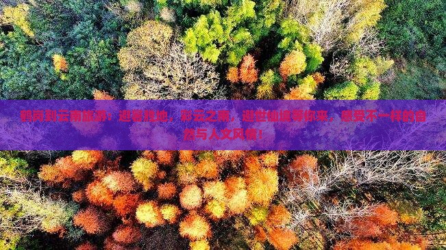 鹤岗到云南旅游