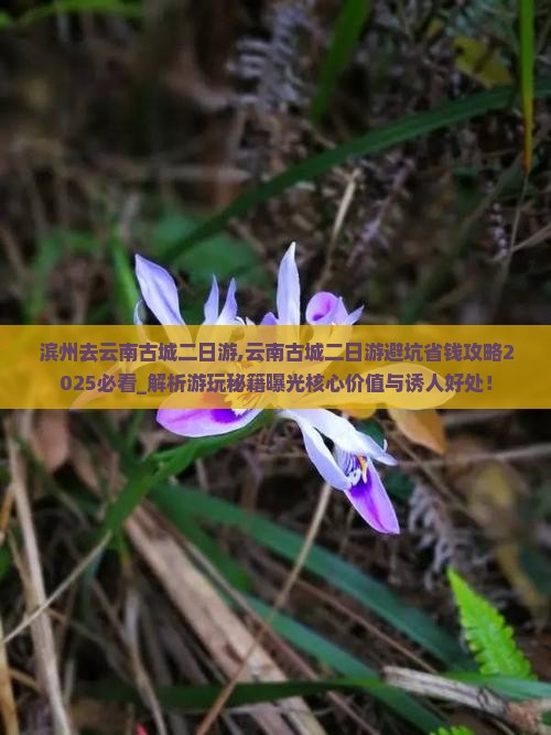 滨州去云南古城二日游