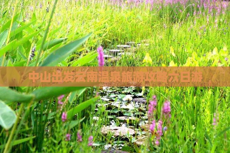 中山去云南温泉六日游