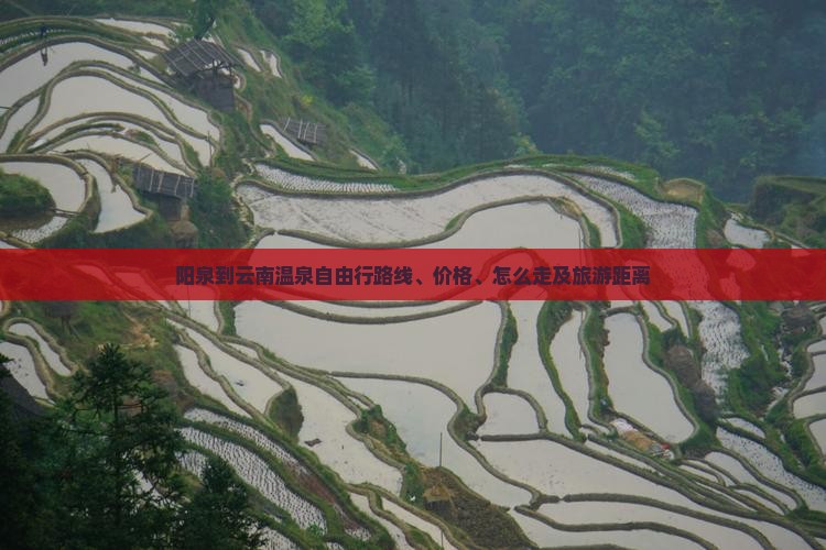阳泉到云南温泉自由行