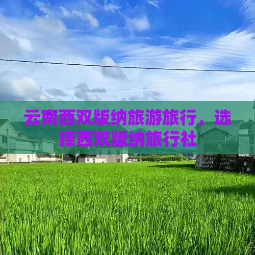 西双版纳去云南西双版纳旅行社