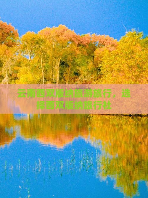 西双版纳去云南西双版纳旅行社