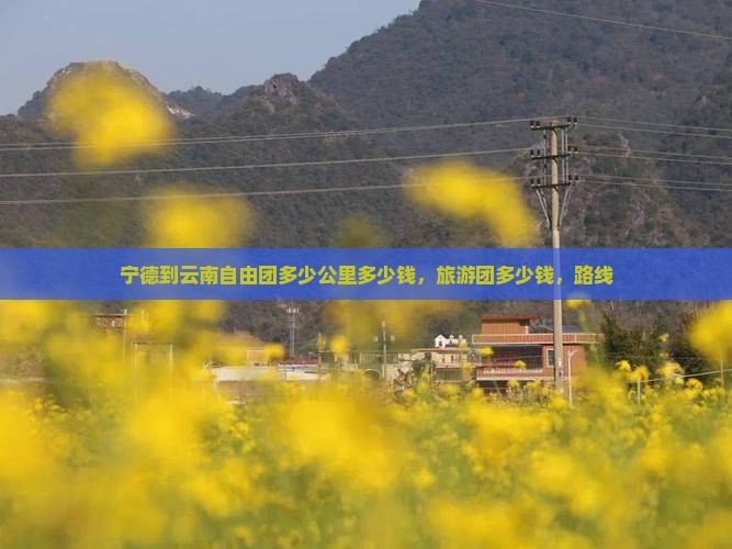 宁德到云南自由团
