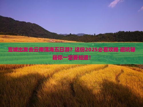 宣城去云南洱海五日游