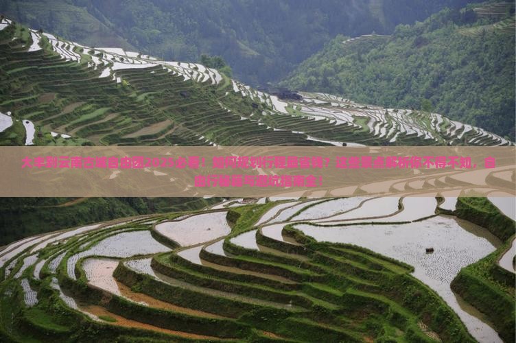 大丰到云南古城自由团