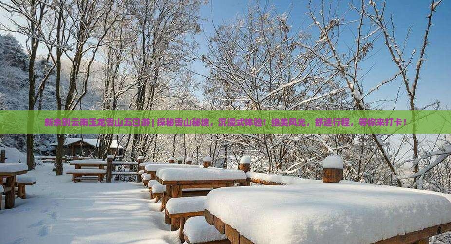 新余到云南玉龙雪山五日游