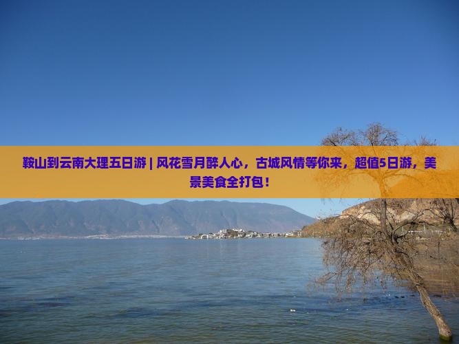 鞍山到云南大理五日游