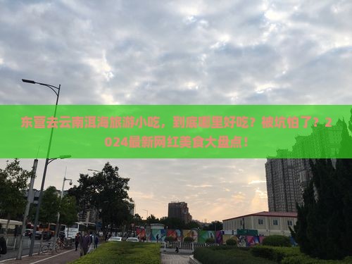 东营去云南洱海旅游小吃