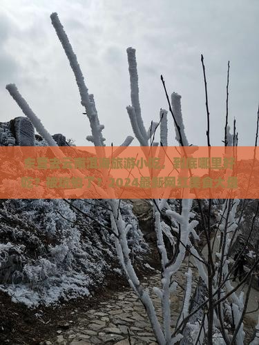 东营去云南洱海旅游小吃