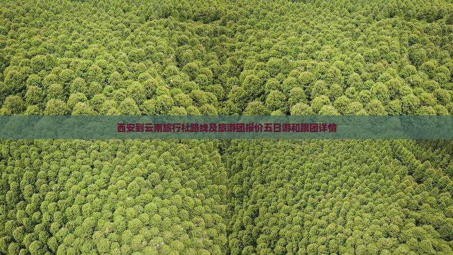 西安到云南旅行社