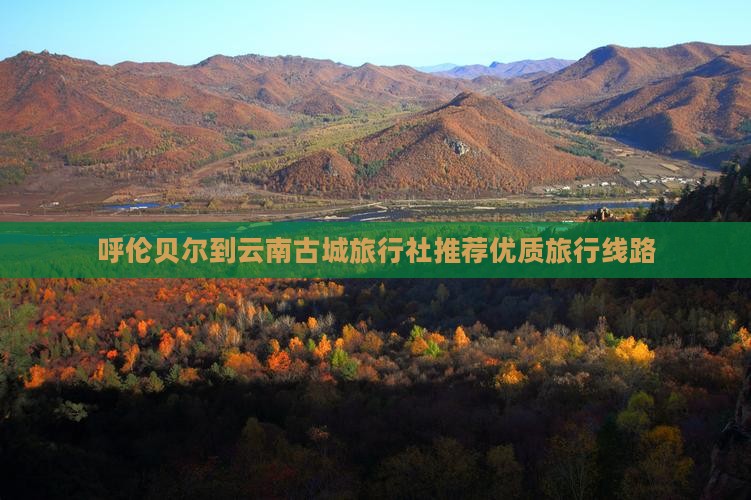 呼伦贝尔到云南古城旅行社