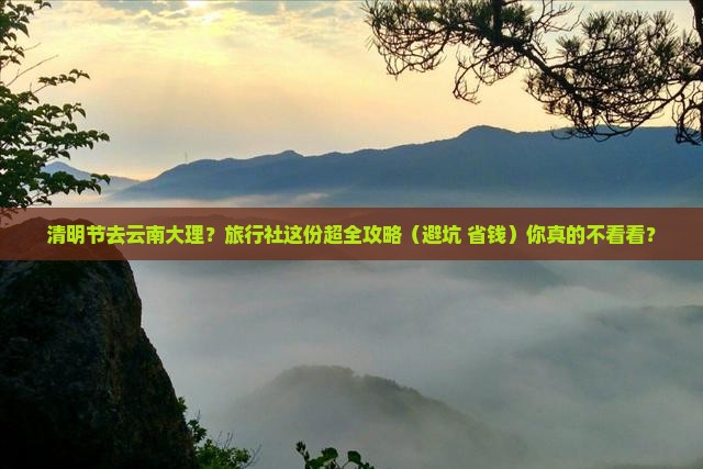清明节去云南大理旅行社