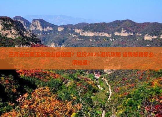 三月去云南玉龙雪山自由团