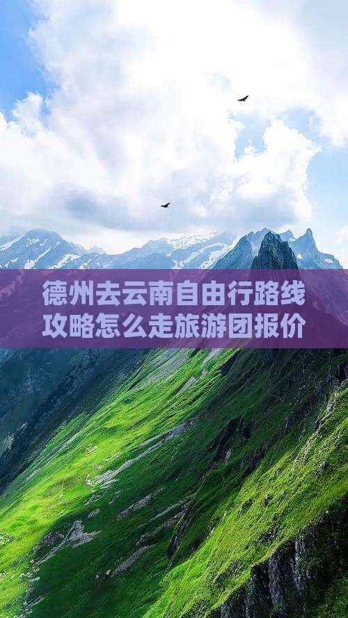 德州去云南自由行