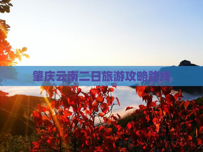 肇庆到云南二日游
