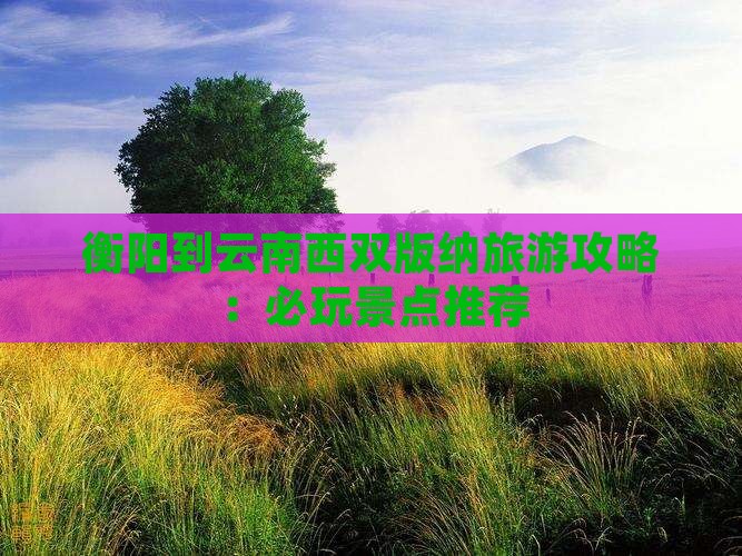衡阳到云南西双版纳哪里玩