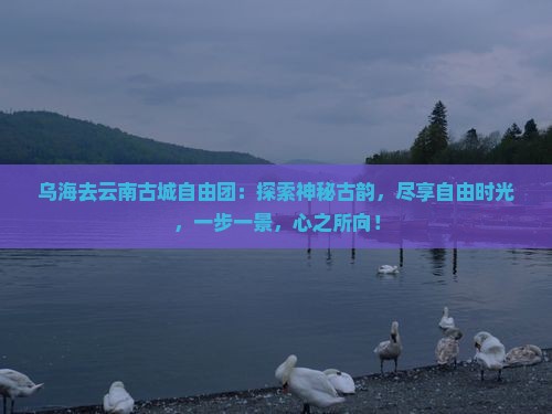 乌海去云南古城自由团