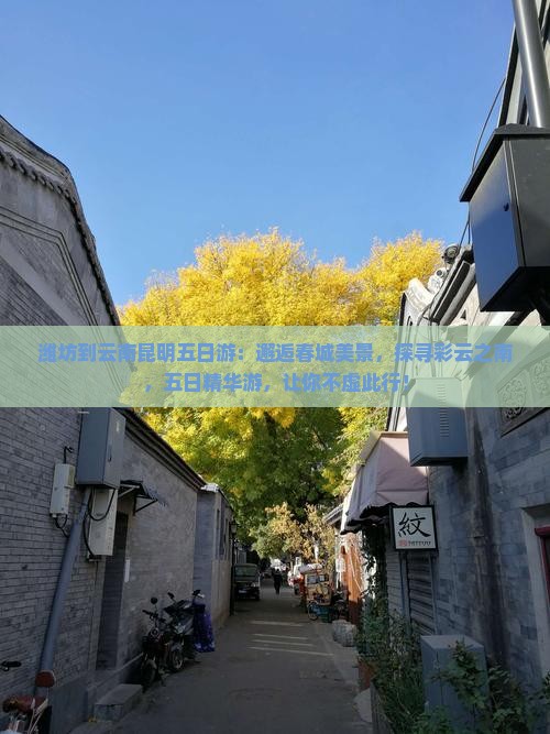 潍坊到云南昆明五日游