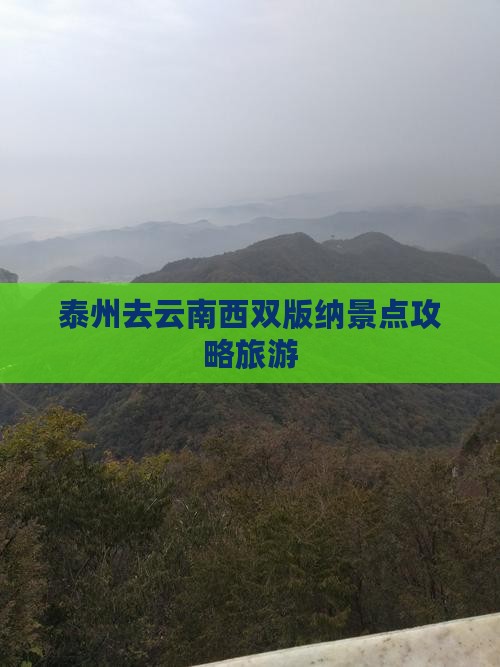 泰州去云南西双版纳景点