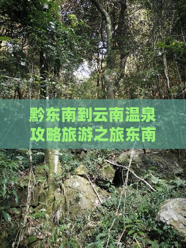 黔东南去云南温泉景点
