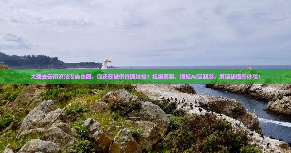 大理去云南泸沽湖自由团