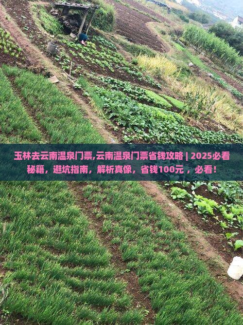 玉林去云南温泉门票