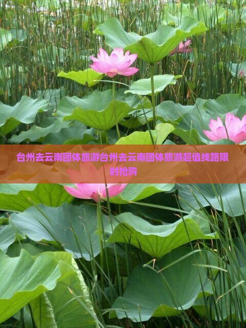 台州去云南团体旅游 台州去云南团体旅游