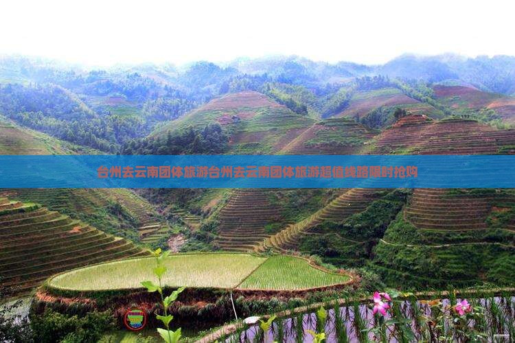 台州去云南团体旅游 台州去云南团体旅游