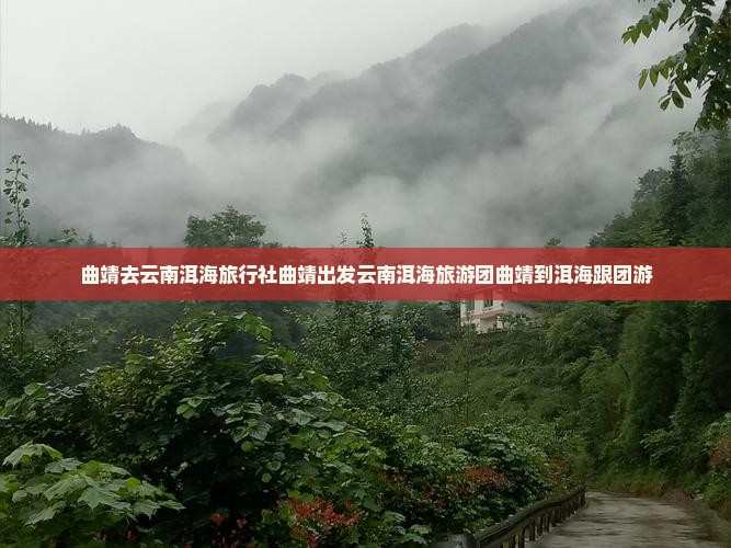 曲靖去云南洱海旅行社