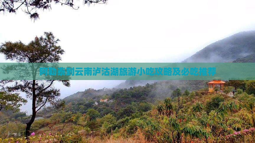 阿勒泰到云南泸沽湖旅游小吃