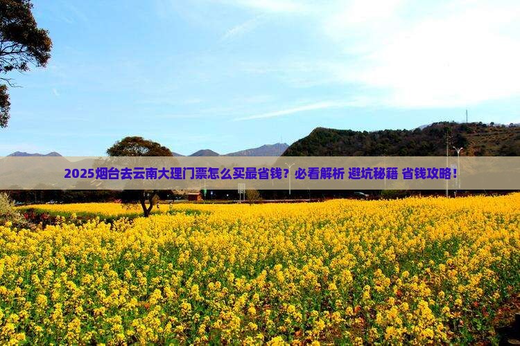 烟台去云南大理门票