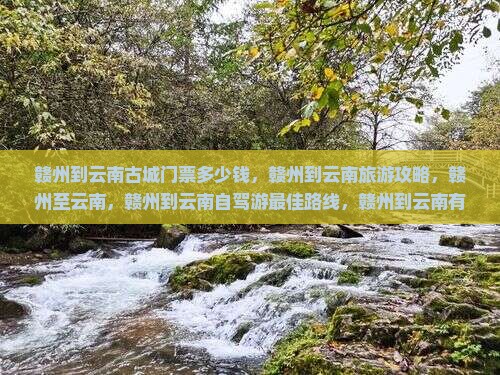 赣州到云南古城门票
