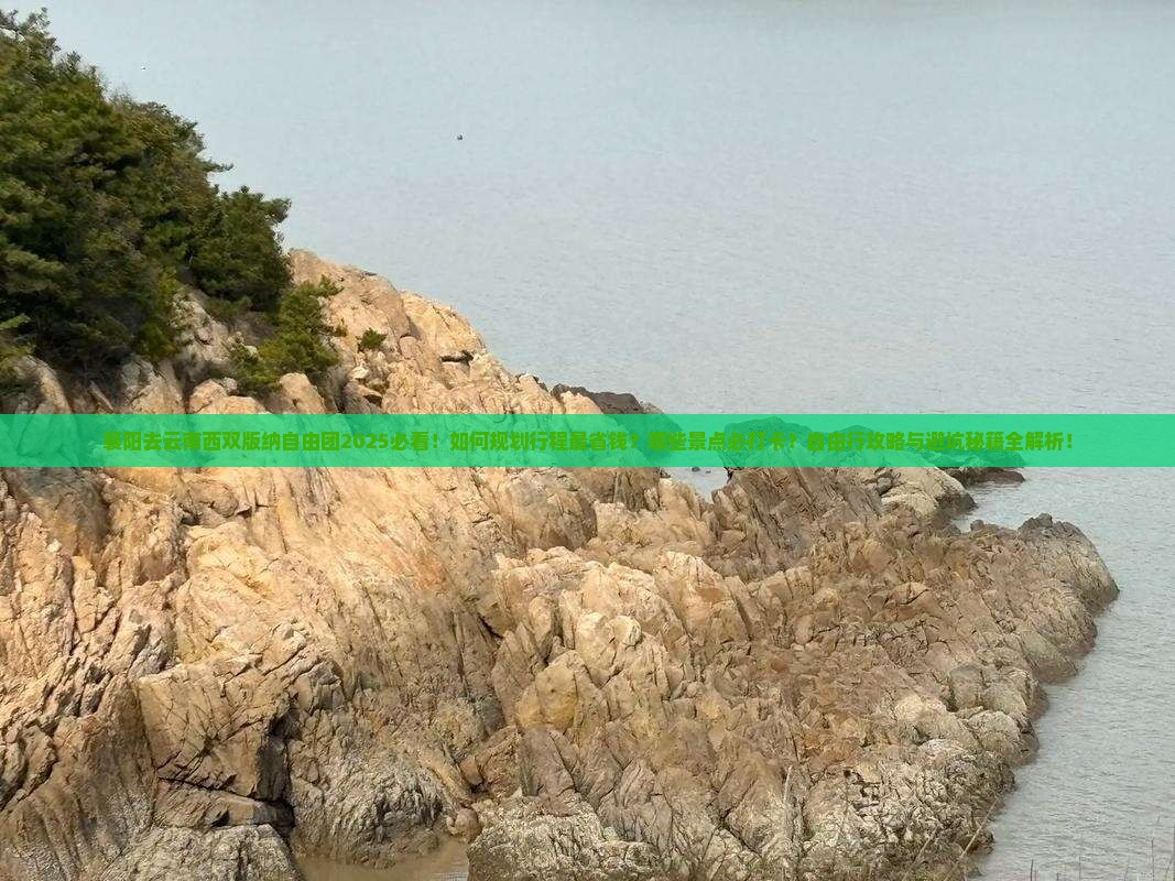 襄阳去云南西双版纳自由团