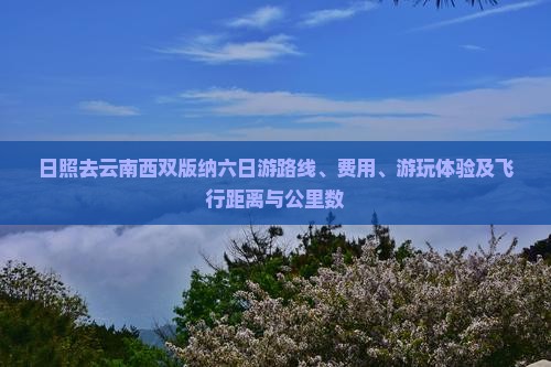 日照去云南西双版纳六日游