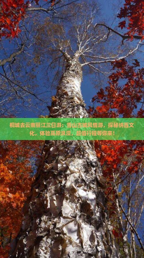 桐城去云南丽江三日游