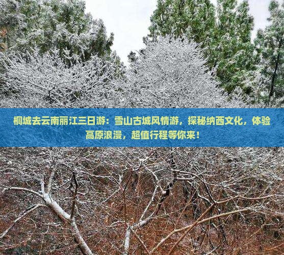 桐城去云南丽江三日游