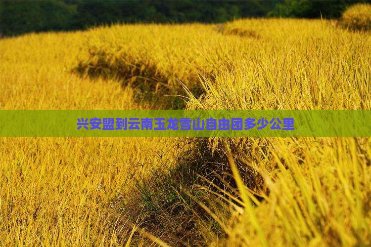 兴安盟到云南玉龙雪山自由团
