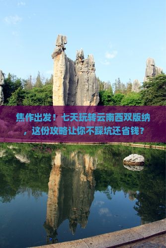 焦作到云南西双版纳七日游