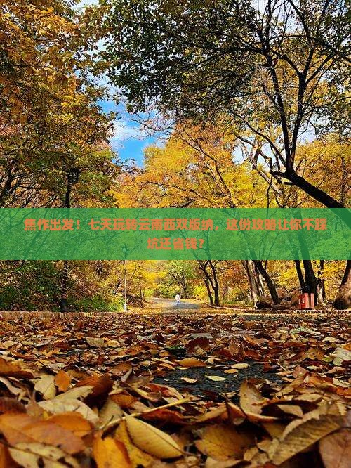 焦作到云南西双版纳七日游