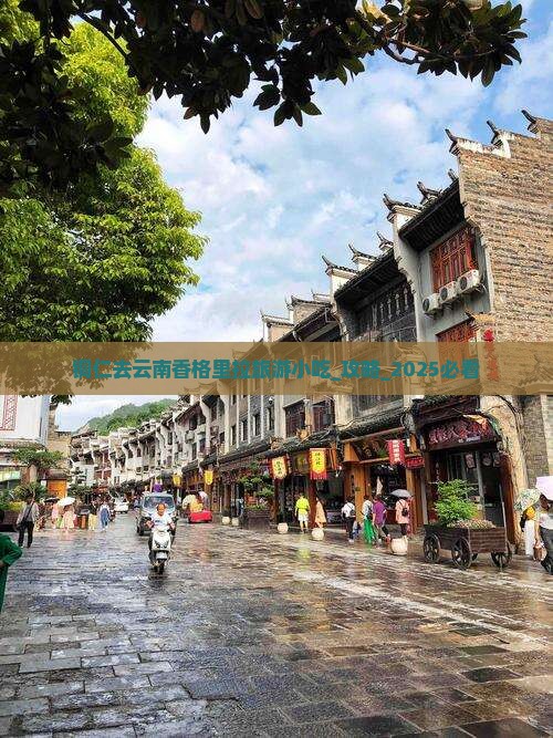 铜仁去云南香格里拉旅游小吃