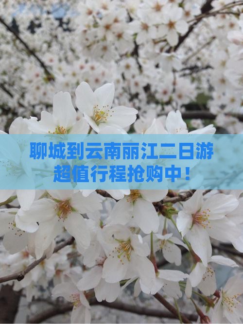 聊城到云南丽江二日游