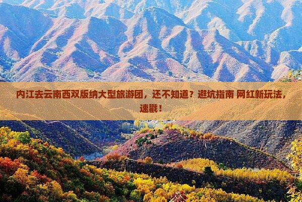 内江去云南西双版纳大型旅游团