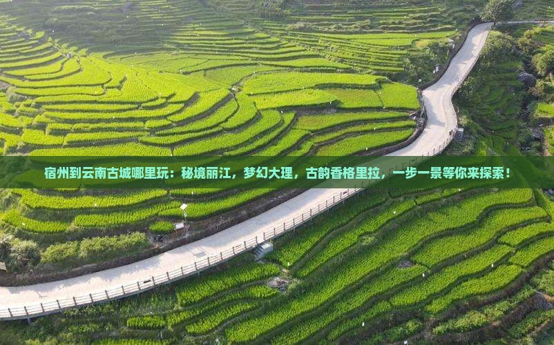 宿州到云南古城哪里玩