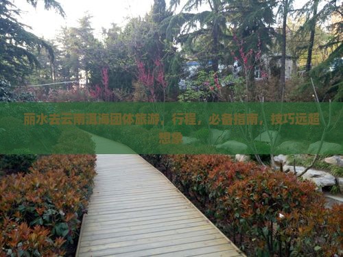 丽水去云南洱海团体旅游
