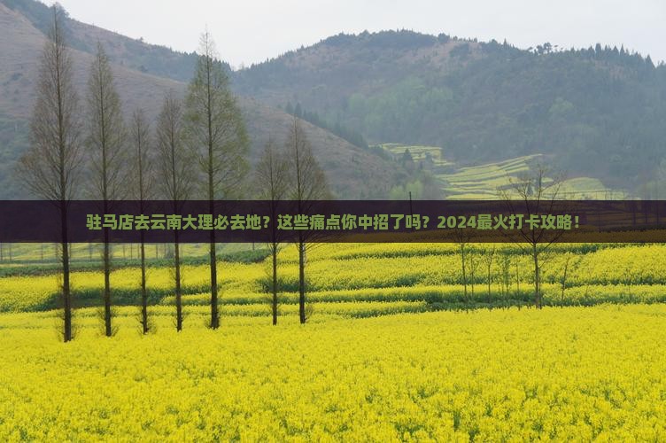 驻马店去云南大理必去地
